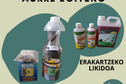 LIZTOR-ASIARRA-VESPA-VELUTINA