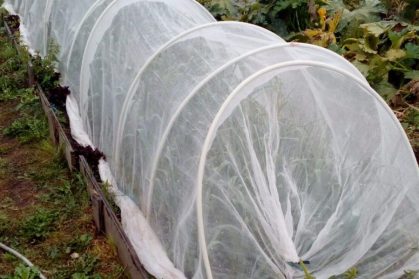 photo_2022-09-23_17-36-38