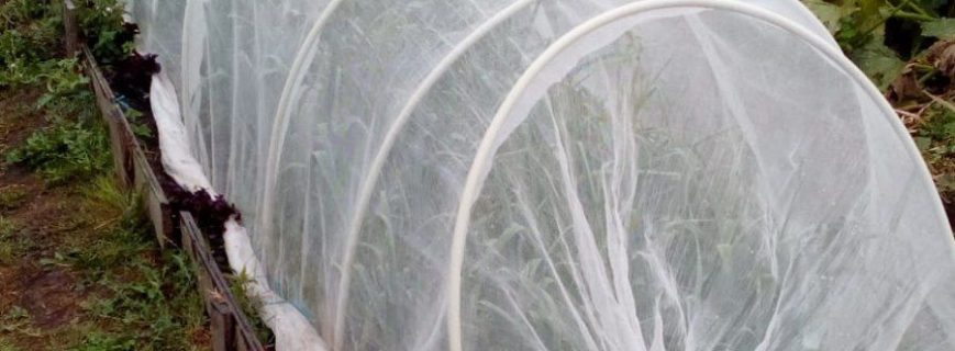 photo_2022-09-23_17-36-38