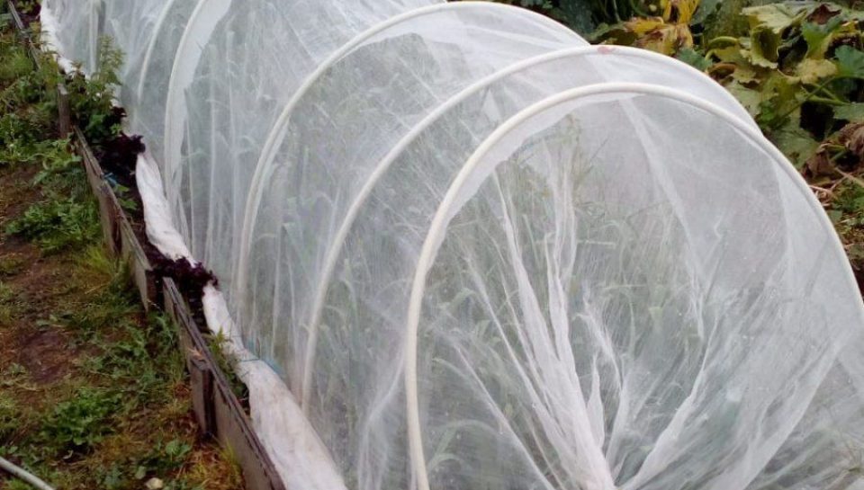 photo_2022-09-23_17-36-38