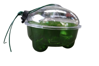 photo_2023-03-21_10-55-25-removebg-preview (1)