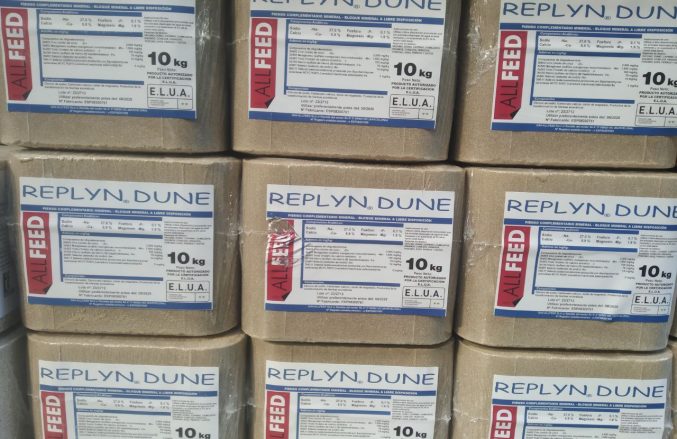 photo_2023-10-06_16-38-13