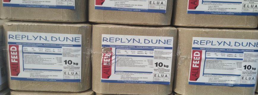 photo_2023-10-06_16-38-13