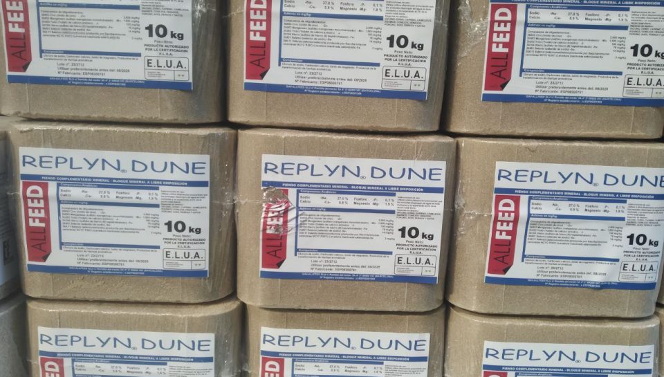 photo_2023-10-06_16-38-13