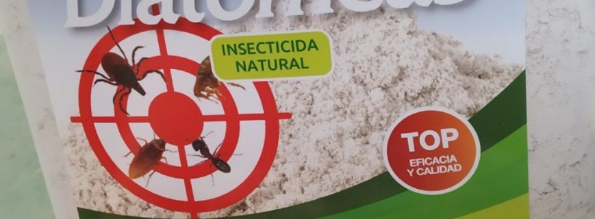 photo_2022-05-20_17-02-24