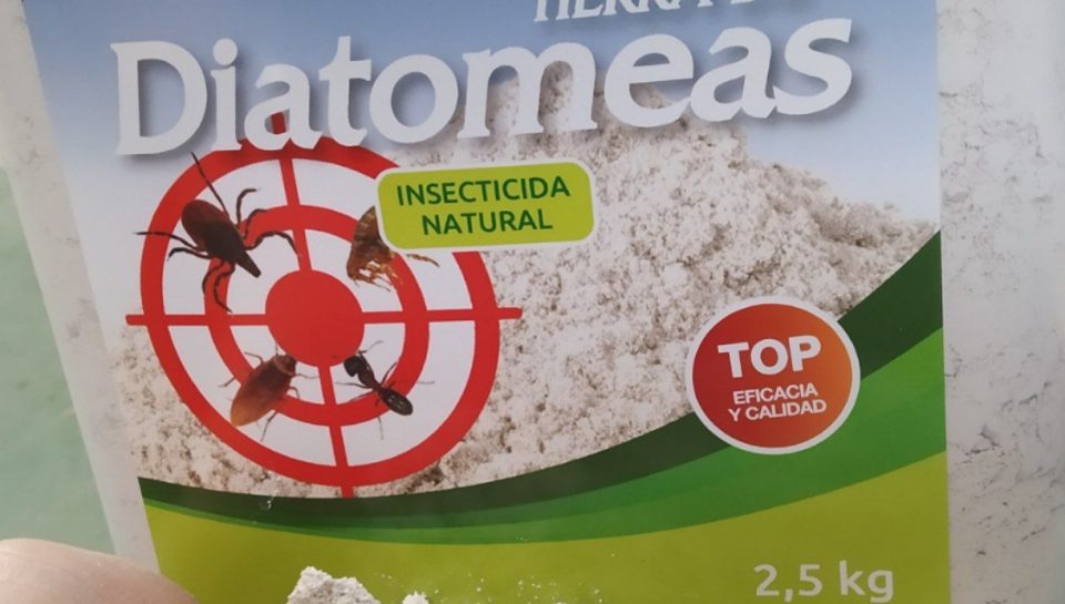 photo_2022-05-20_17-02-24