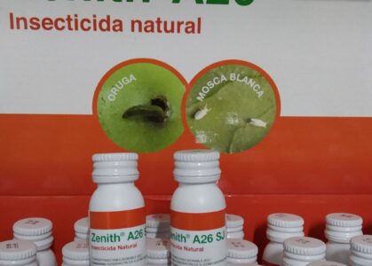 photo_2022-06-21_12-17-31