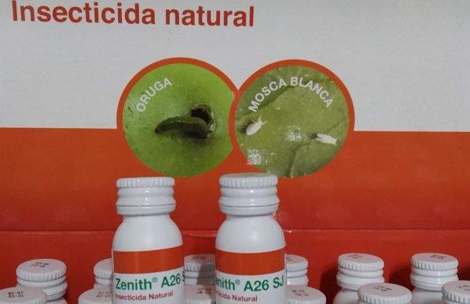 photo_2022-06-21_12-17-31