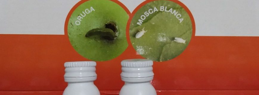 photo_2022-06-21_12-17-31