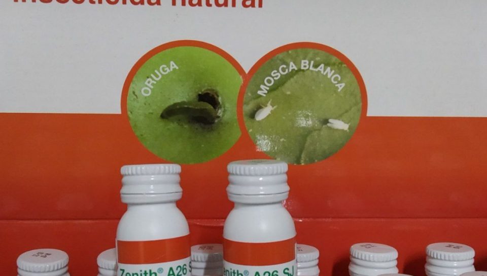 photo_2022-06-21_12-17-31